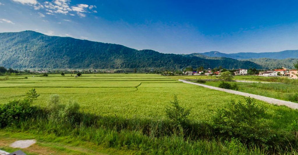 کاربری زراعی